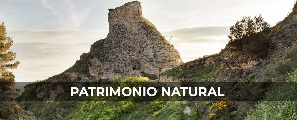Patrimonio natural